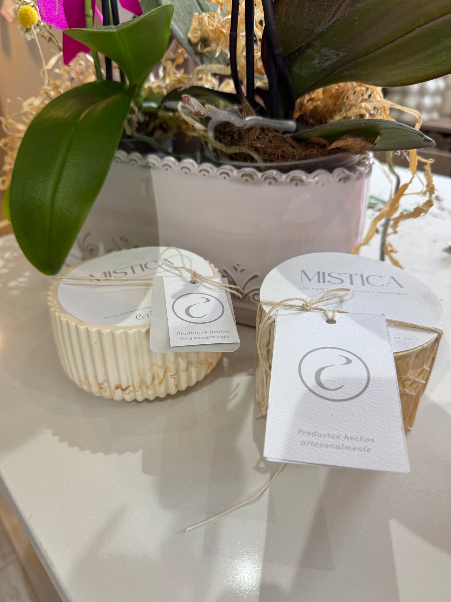 Vela PIETRA - Líneas